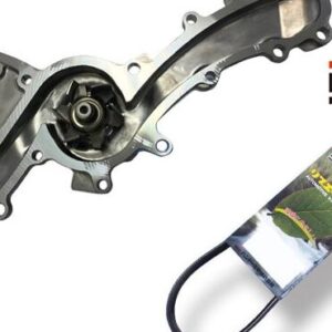 Estima GSR50W GSR55W Aisin Water Pump WPT-142 Outer Belt 1 piece Bando 2006.01-2016.06